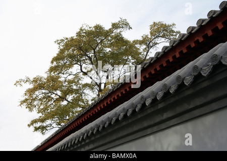 Dettaglio del bordo del tetto di una pagoda cinese Foto Stock