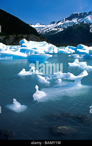 Lago di portage e sul ghiacciaio della penisola di Kenai ALASKA Foto Stock