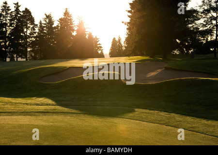 Il trap - Concetti di golf Foto Stock