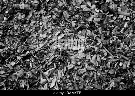Resti di un camino. Combustione del carbone, legno e cenere. Nero e sfondo bianco. Foto Stock