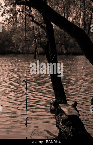 Bianco e nero swing corda su albero con acqua in background Foto Stock