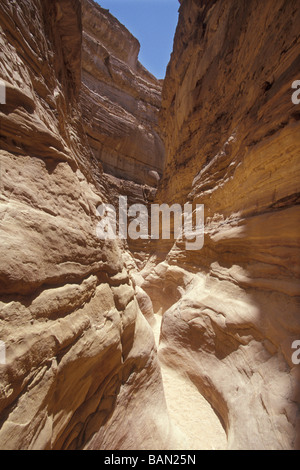 Canyon Colorato il Sinai Egitto Foto Stock