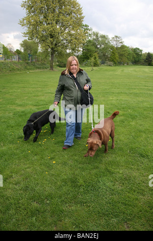 Donna anziana a piedi i suoi due gatti nel Parco Foto Stock