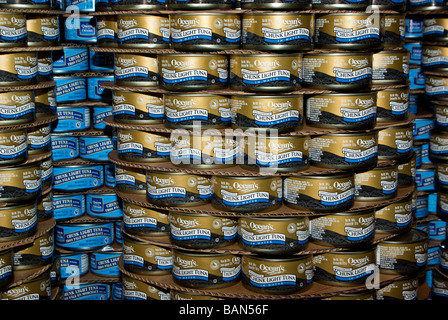 Canstruction fame consapevolezza carità evento figura fatta da barattoli di donazioni di cibo in scatola che sarà dato alla banca di cibo Foto Stock