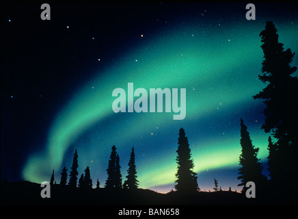 Northern lights Yukon Territory canada Foto Stock
