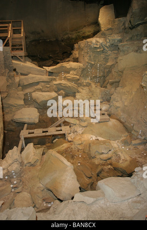 Meadowcroft Rock Shelter Paleo Pennsylvania Indiano sito archeologico Foto Stock