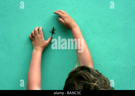 Ragazzo cerca di catturare un geco strisciando su una parete, isola tropicale, a Nassau, Bahamas Foto Stock