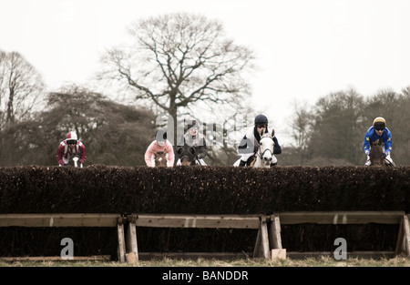 Punto-punto horse racing a Dalton Park, Dalton Holme, East Yorkshire Foto Stock