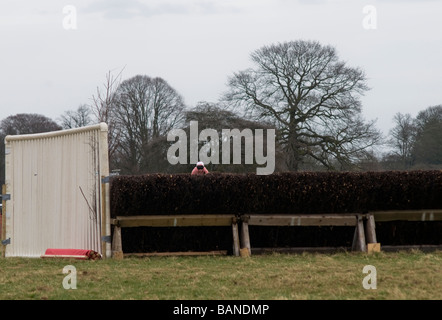 Punto-punto horse racing a Dalton Park, Dalton Holme, East Yorkshire Foto Stock