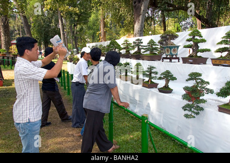 Alberi di Bonsai in mostra presso il Nguyen Hue Boulevard Flower Show in Ho Chi Minh City Vietnam Foto Stock