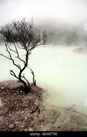 Kawah putih vulcano Foto Stock