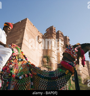 Uomo a cavallo su un cammello di fronte a fort, Meherangarh Fort, Jodhpur, Rajasthan, India Foto Stock