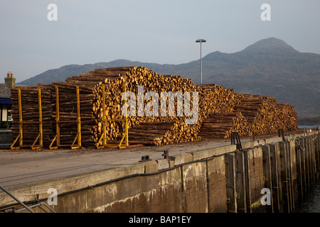 Struttura scozzese Logging &  Legname Legname impilati sulla banchina a Kyle of Lochalsh, Isola di Skye nelle Highlands scozzesi - Foto Stock