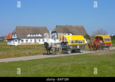 Carrozze trainate da cavalli a Neuendorf, isola di Hiddensee, Mecklenburg Western-Pomerania Foto Stock