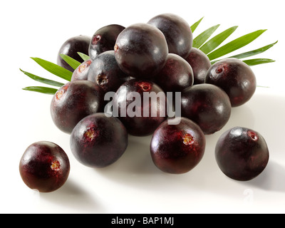 Acai bacche anti ossidante frutto Foto Stock