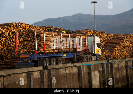 Scottish Tree Logging & Timber Harvest Industry. Kyle di Lochalsh, isola di Skye nelle Highlands Scozia - Foto Stock