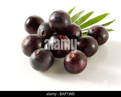 Acai bacche anti ossidante frutto Foto Stock