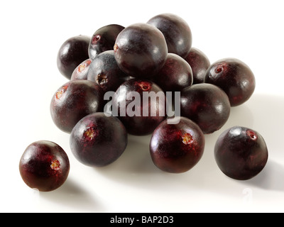 Acai bacche anti ossidante frutto Foto Stock