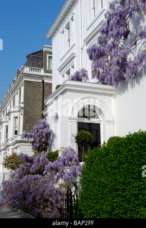 Attraente casa bianca e fiori in Argyll Road off Kensington High Street London W8 Foto Stock