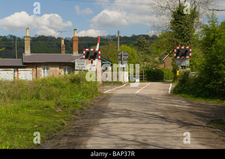 Unmanned passaggio a livello ferroviario attraversamenti Buckland Surrey UK Foto Stock