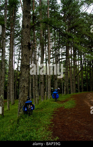 Valle europea - Bike touring a Santa Catarina in Brasile Foto Stock