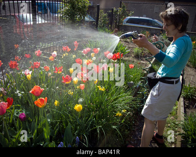 Una donna acque la sua patch in un orto comunitario in New York quartiere di Chelsea Foto Stock