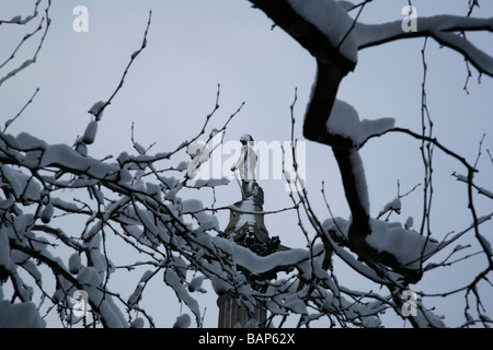 Nelsons Column visto attraverso la coperta di neve alberi in Trafalgar Square, Londra Foto Stock