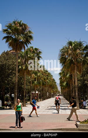 Paseo de la Rambla Almería Andalucía España La Rambla Almeria Andalusia Spagna Foto Stock