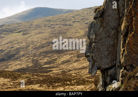 Uomo grigio di Merrick, Galloway colline, Dumfries & Galloway, Scozia Foto Stock