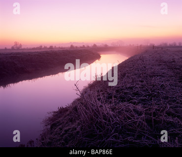 Il fiume Brue all'alba su South Moor ai livelli del Somerset a Glastonbury, Somerset, Inghilterra Foto Stock