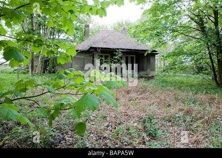 Un cottage abbandonato giace in rovina nel paese con piante che crescono attraverso le crepe Foto Stock