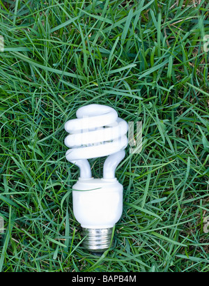 Efficiente lampadina luce in erba Foto Stock