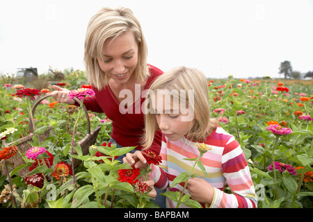 Madre e figlia in un campo di fiori di organico, Ladner, British Columbia, Canada Foto Stock
