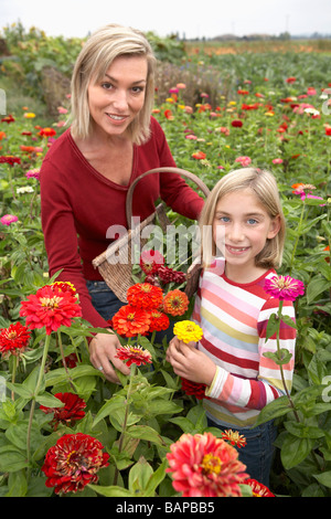 Madre e figlia in un campo di fiori di organico, Ladner, British Columbia, Canada Foto Stock