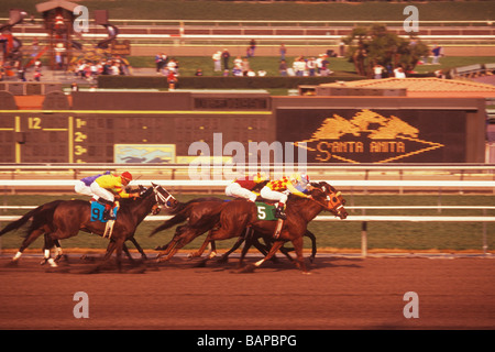 Santa Anita Racetrack Arcadia, California Foto Stock