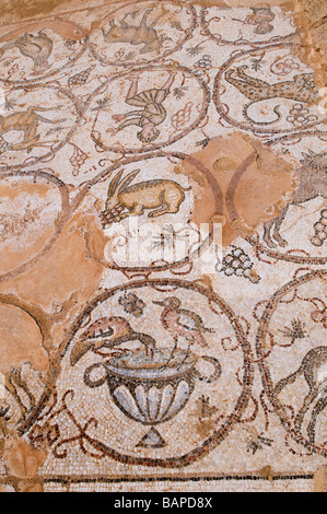 Un Romano pavimento a mosaico raffigurante uccelli di Cesarea parco nazionale di Israele Foto Stock