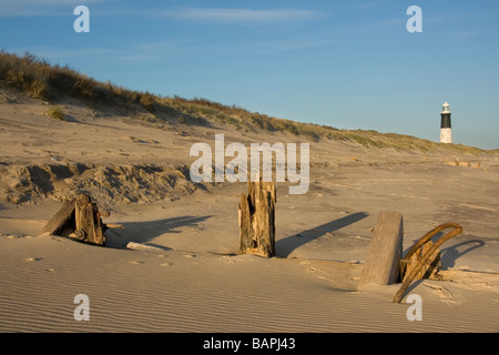 Una vista del vecchio Faro che sorge sul punto di disprezzare, una riserva naturale dall'Humber Estuary e Mare del Nord, Humberside, REGNO UNITO Foto Stock