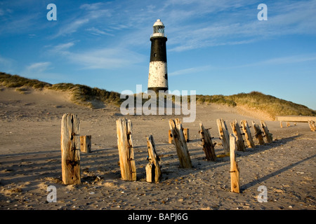 Una vista del vecchio Faro che sorge sul punto di disprezzare, una riserva naturale dall'Humber Estuary e Mare del Nord, Humberside, REGNO UNITO Foto Stock