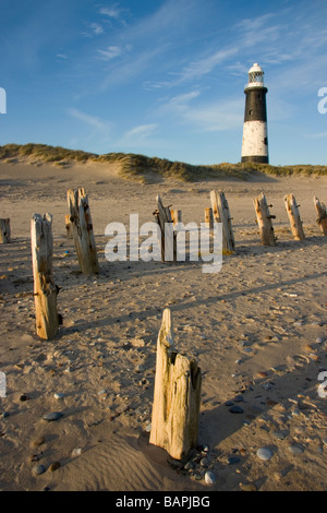 Una vista del vecchio Faro che sorge sul punto di disprezzare, una riserva naturale dall'Humber Estuary e Mare del Nord, Humberside, REGNO UNITO Foto Stock