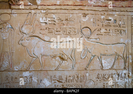 Rilievi dipinti sulle pareti interne del tempio di Ramesses II a Abydos, Valle del Nilo in Egitto Foto Stock