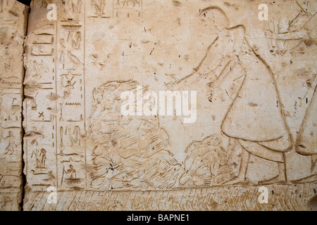 Rilievi sulle pareti interne del tempio di Ramesses II a Abydos, Valle del Nilo in Egitto Foto Stock