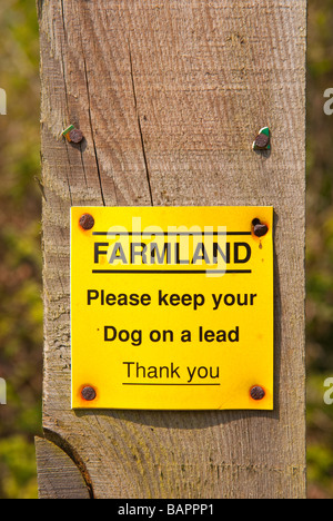 Un segno nel Regno Unito dicendo di campagna Farmland,si prega di mantenere il vostro cane al guinzaglio,grazie Foto Stock