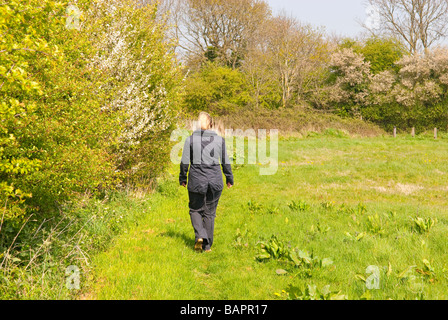 A woman walking alone in a field in the Suffolk countryside in the uk in spring Foto Stock