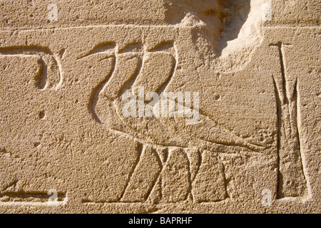 Opera d'arte e franchigie il tempio mortuario di Merneptah sulla riva occidentale del Fiume Nilo a Luxor Foto Stock