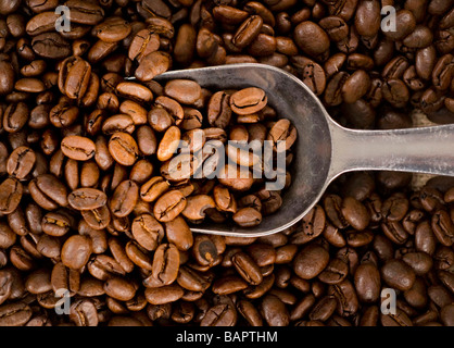 Close up fotografia di nuovo i chicchi di caffè e la pala Foto Stock