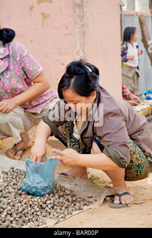 Donna vendita di lumache al mercato Skuom sulla strada tra Phnom Penh e Foto Stock