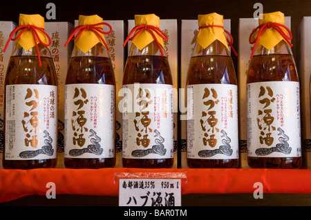 Okinawa vino di serpente o Habushu sul display in uno dei molti turisti in negozi di souvenir Sul Kokusai Dori, Naha, Okinawa, in Giappone Foto Stock