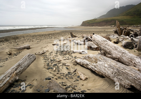 Spiaggia Vicino Carl G. Washburne stato Memorial Park - vicino a Firenze, Oregon, Stati Uniti d'America Foto Stock