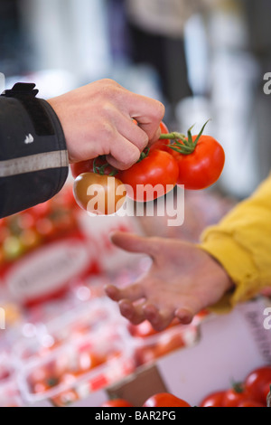 Le mani e i pomodori a Stroud Farmers Market, Stroud, Gloucestershire, Regno Unito Foto Stock