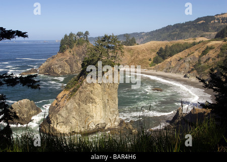 Vista costiera nei pressi di Arch Rock - Samuel H Boardman Scenic corridoio - Brookings, Oregon Foto Stock